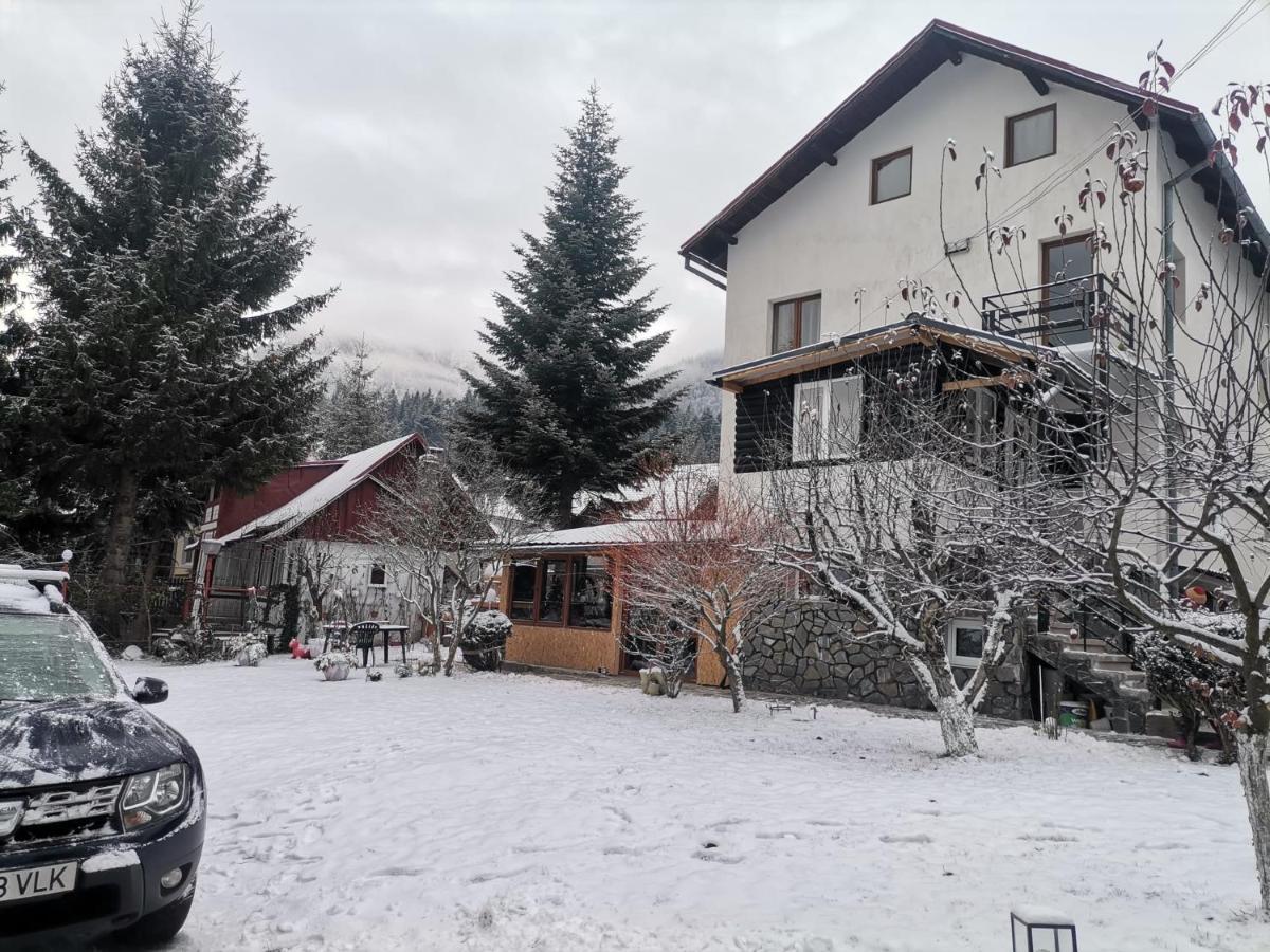 Zoso Home Busteni Exterior photo