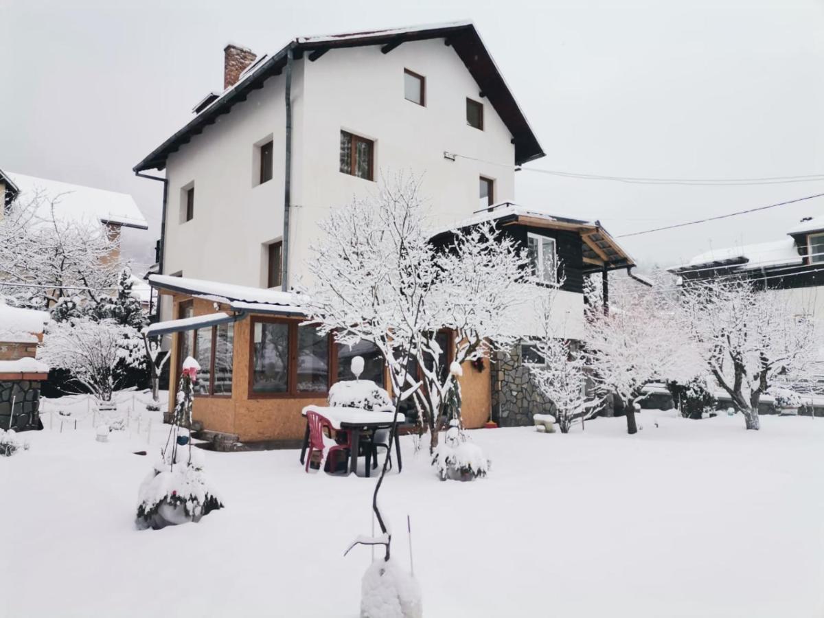 Zoso Home Busteni Exterior photo