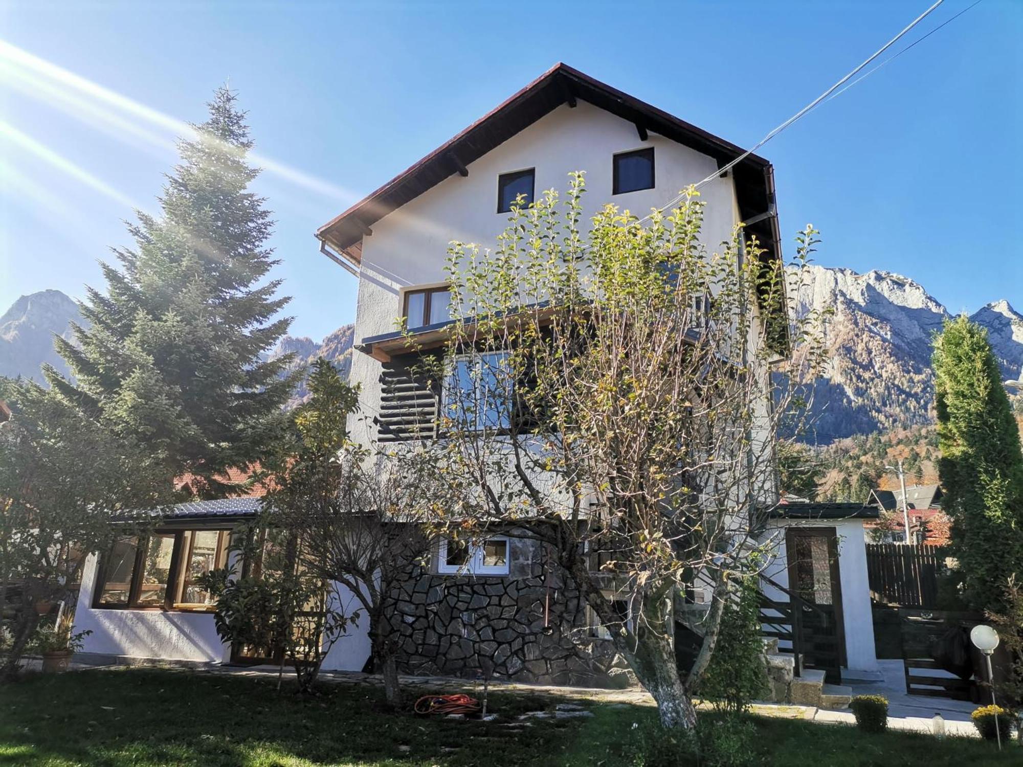 Zoso Home Busteni Exterior photo
